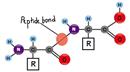 Peptide