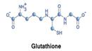 Glutathione là gì?  Glutathione là chất gì và ứng dụng của nó