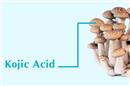 Kojic Acid là gì? Tác đụng của Kojic Acid trong mỹ phẩm và làm đẹp