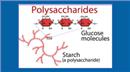 Polysaccharides là gì và ứng dụng trong mỹ phẩm